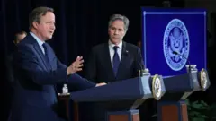 İngiltere Dışişleri Bakanı David Cameron ile ABD'li mevkidaşı Anthony Blinken.