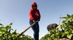 Migrantes