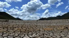 Pantano en Honduras en 2019