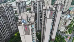 এভারগ্রান্ডে কোম্পানির একটি নির্মাণ প্রকল্প