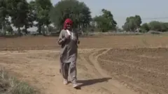 Aworan Rambi nibi to ti n sare