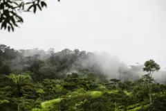Chuva na Floresta Amazônica