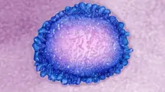 coronavirus