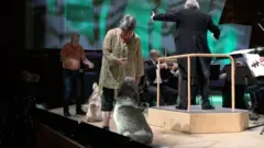 كلاب تعزف موسيقى موزارت مع الأوركسترا في الدنمارك