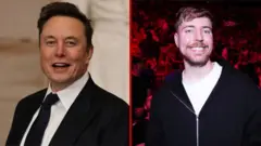 Iloon Maask fi Mister Biist