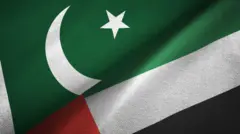 پرچم پاکستان و امارات