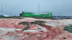 сніг