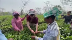 प्रियंका गांधी