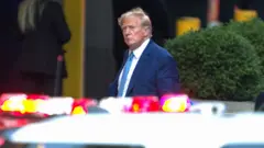 الرئيس الأمريكي السابق دونالد ترامب