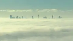 سيدني تستيقظ على غطاء كثيف من الضباب
