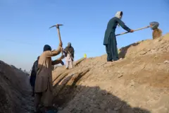ځوانان