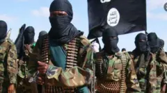 Al-Shabaab