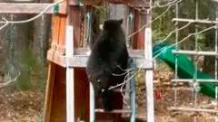 medved se penje uz tobogan