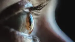 Eye