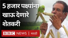शेतकरी, पक्षी