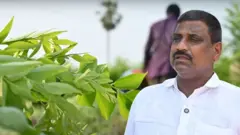 ખેડૂત મીઠો લિમડો, બીબીસી ગુજરાતી 