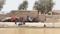 سیلاب، سندھ