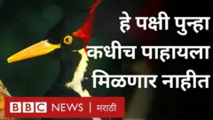 अमेरिकेतल्या एका संस्थेने 23 प्रजाती नामशेष झाल्याचं घोषित केलं आहे.