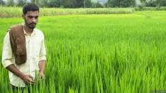 शेतकरी, प्रातिनिधिक फोटो