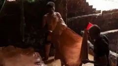 চামড়ার দরপতনের সংশ্লিষ্টরা একে অপরকে দোষারোপ করছেন।