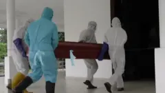 මෘත දේහ