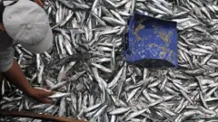 แรงงานในภาคประมงเป็นเหยื่อการค้ามนุษย์