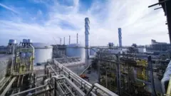 سعودي
