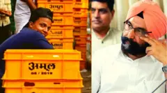 ਅਮੂਲ