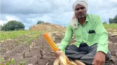 शेतकरी गणेश गव्हाणे