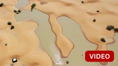 வறண்ட சஹாரா பாலைவனத்தில் வெள்ளம்