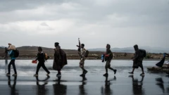 የትግራይ ኃይሎች