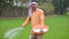 प्रातिनिधिक फोटो