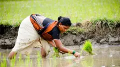 மத்திய அரசின் விவசாயத் திட்டங்கள் 