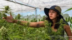 Chidchanok Chidchob.