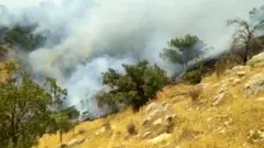 آتش‌سوز جنگل‌های نارک گچساران