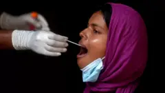 कोभिड परीक्षण