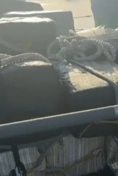 அமெரிக்கா