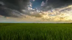 બીબીસી ગુજરાતી, ગુજરાત, બીબીસી, અમદાવાદ, હવામાન, વરસાદ