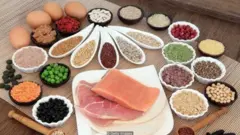 میزان پروتئینی که در رژیم غذایی اکثر مردم هست از نیازشان بیشتر است