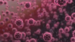 Coronavirus