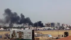 أدى القتال إلى تعطيل الكثير من المنشآت الخيوية، بما فيها مطار الخرطوم الدولي