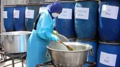 متطوعة