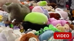 போட்டியின்போது எறியப்பட்ட 80,000 பொம்மைகள்