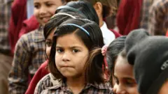 પ્રતીકાત્મક તસવીર