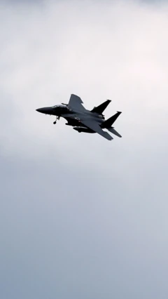 'இரானில் சுட்டு வீழ்த்தப்பட்ட அமெரிக்க போர் விமானம்' - என்ன நடந்தது?