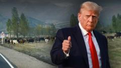 «Скоро тут будет Кавказская Америка». Как выглядит «дорога Трампа» на границе Ирана, Армении, Турции и Азербайджана | Репортаж Би-би-си