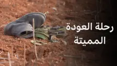 بي بي سي