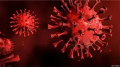 ਕੋਰੋਨਾਵਾਇਰਸ