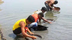 અમદાવાદમાં રાખમાંથી સોનાની શોધખોળ