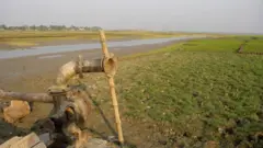 ফসলি জমির মাঝখানে বন্ধ থাকা একটি শ্যালো মেশিন যার মাধ্যমে সেচ দেওয়া হয়